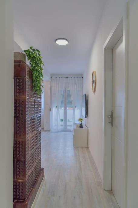 Apartman Scala Zadar Exterior foto